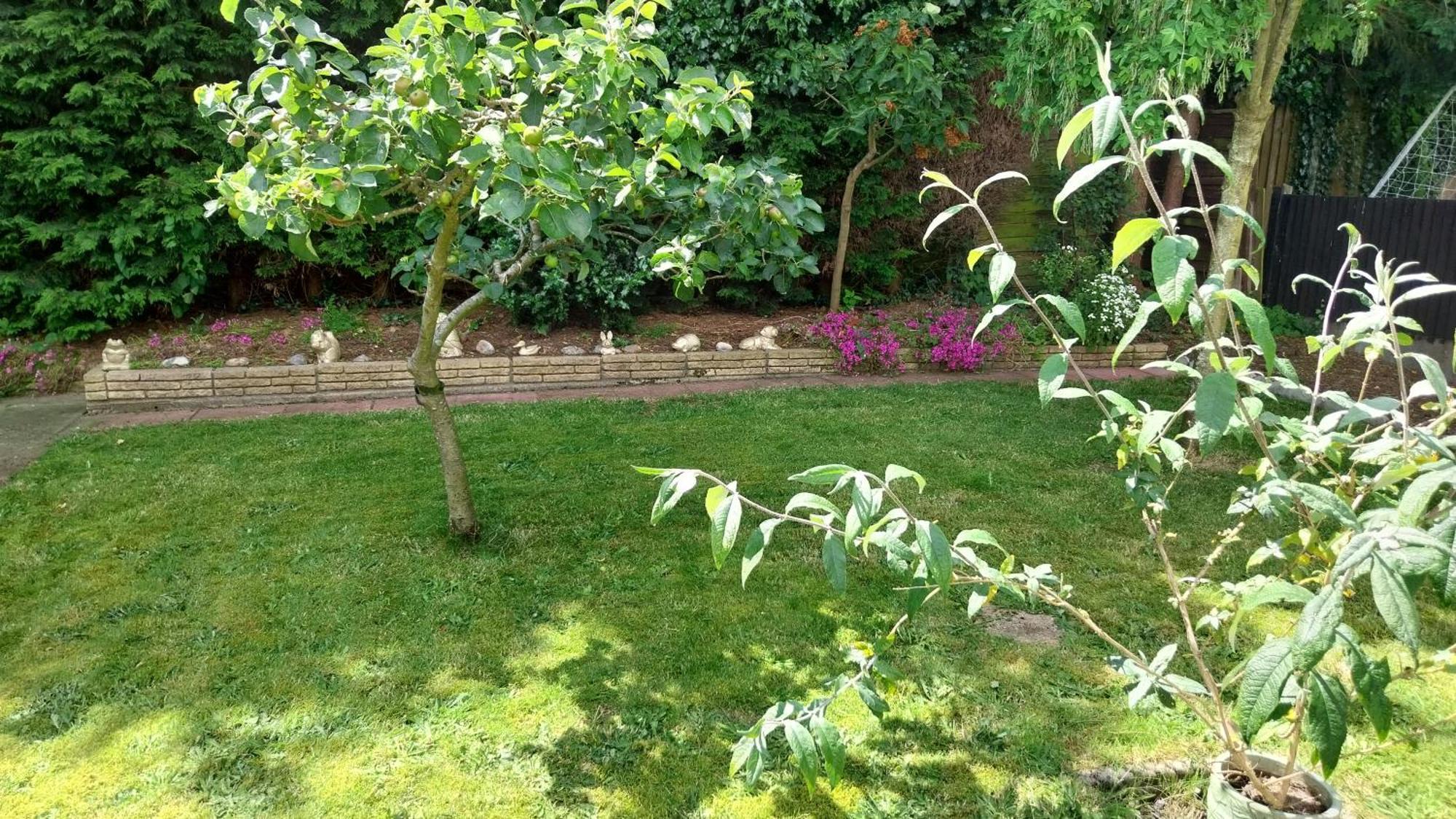 Beautiful 3-Bed Bungalow Kessingland Rural Retreat Lowestoft Eksteriør bilde